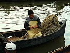 Traditional fishing in the Danube Delta...